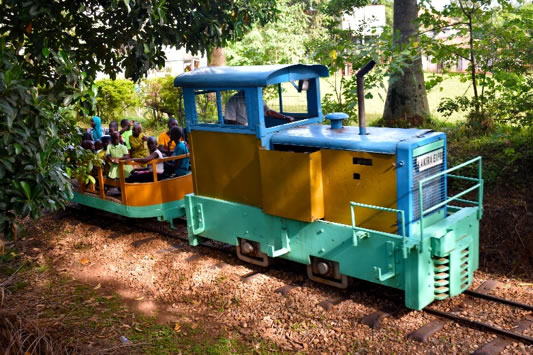 Train ride at the outing